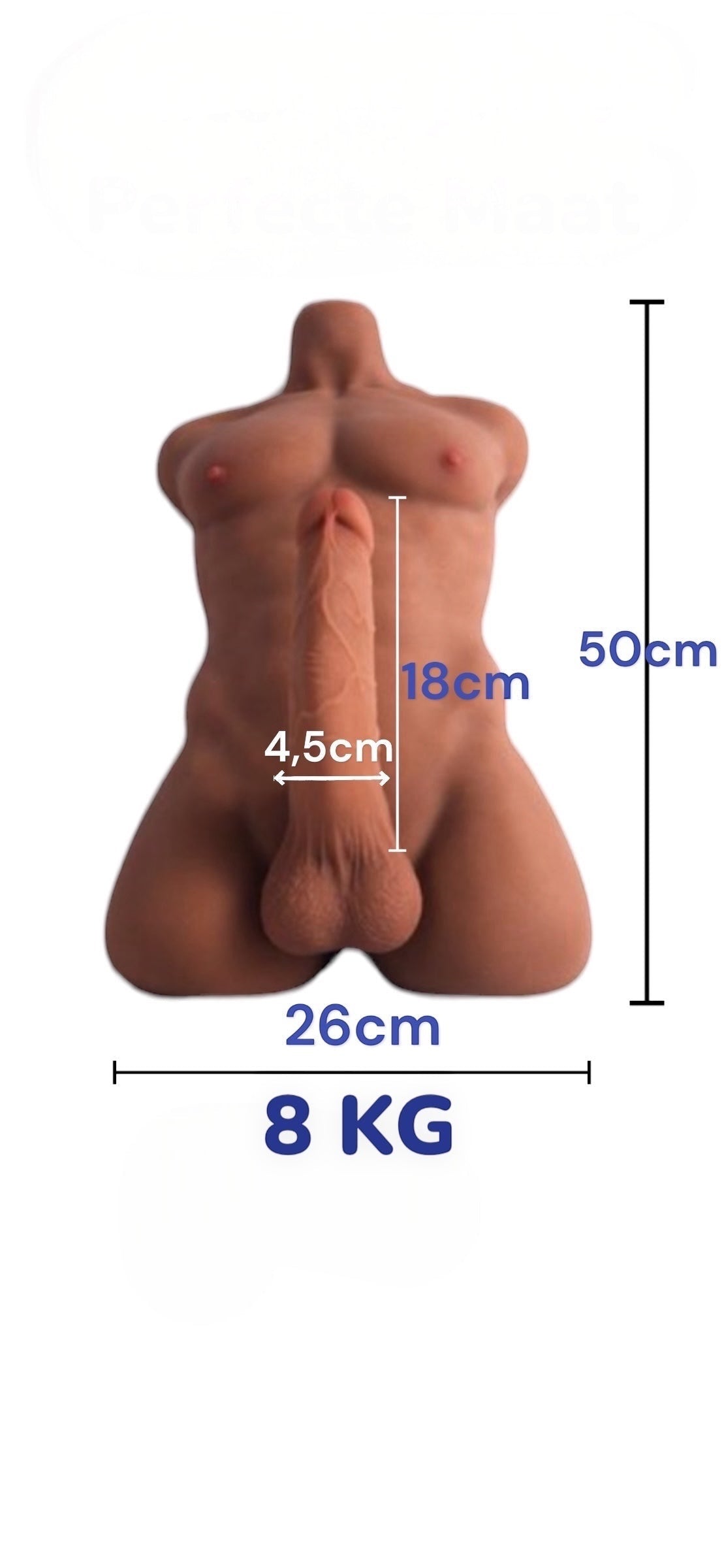 Mitch – Poupée sexuelle masculine et poupée sexuelle pour homme | Torse sexuel réaliste | MisterDoll